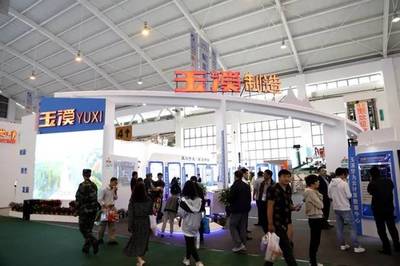 绿色+创新+梦想 玉溪制造闪亮登场南博会